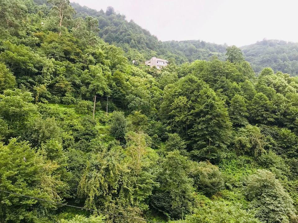Giorgi Kvariati Hotel Ngoại thất bức ảnh